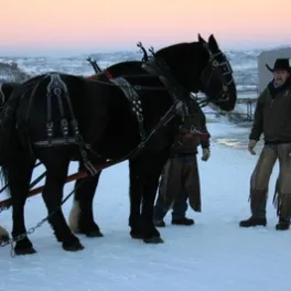 man with horses in snow