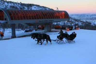 horses pulling sleigh in snow