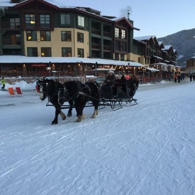 horses pulling sleigh in snow