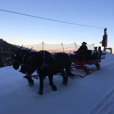 horses pulling sleigh in snow Park City