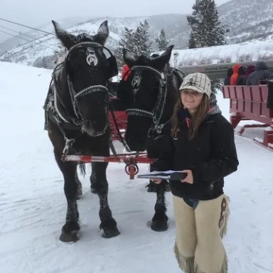girl with horses pulling sleigh