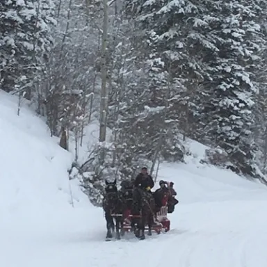 horses pulling sleigh in snow Park City