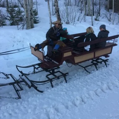 sleigh in snow